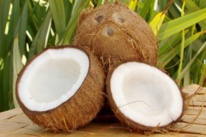 coconuts used to make coconut oil