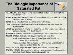 importance-saturated-fat-300x225