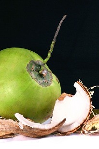 photo of coconut meat used to make coconut oil