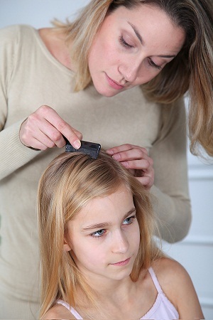 Natural head lice treatment with coconut oil and apple cider vinegar photo