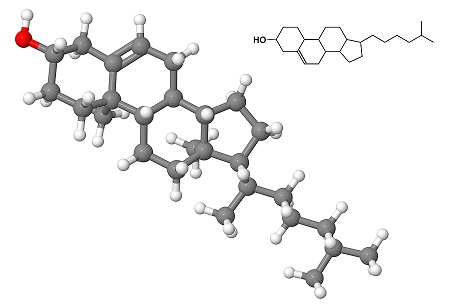 image of a cholesterol molecule