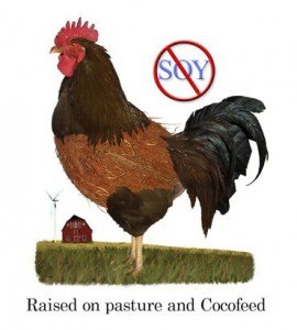 Image of coco chicken raised on soy-free feed