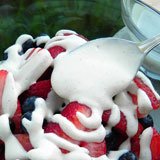 Dairy Free Coconut Vanilla Sweet Cream Recipe Photo