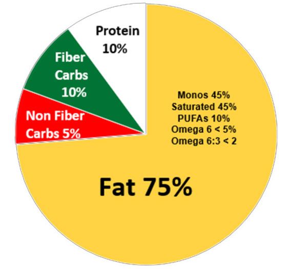 recommended-food-intake