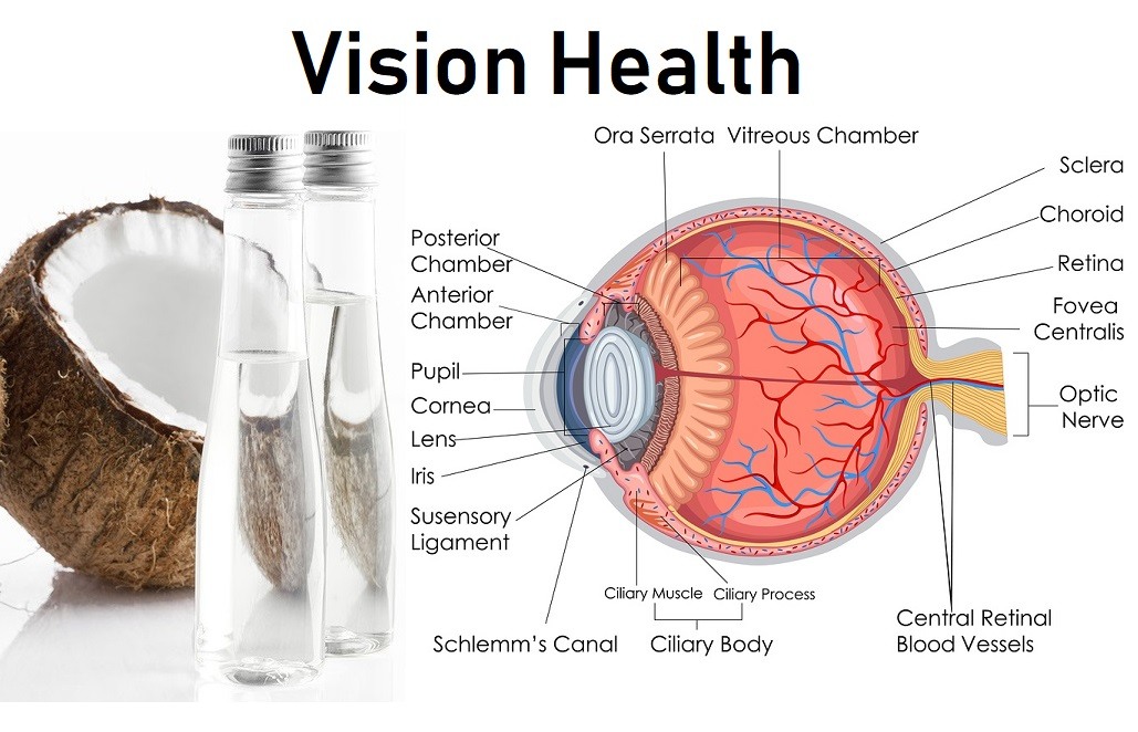 Human Eye internal Diagram with Coconut Oil images